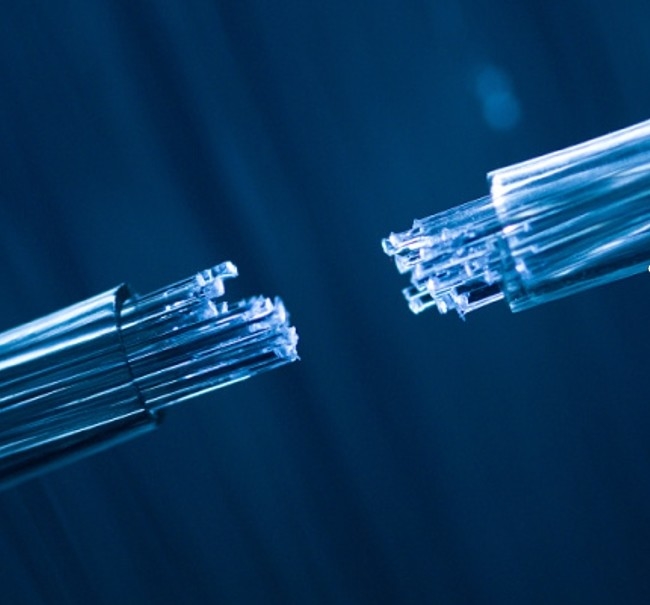 Cable FTTH mono-mode indoor drop 1-12 core per connessione senza soluzione di continuità