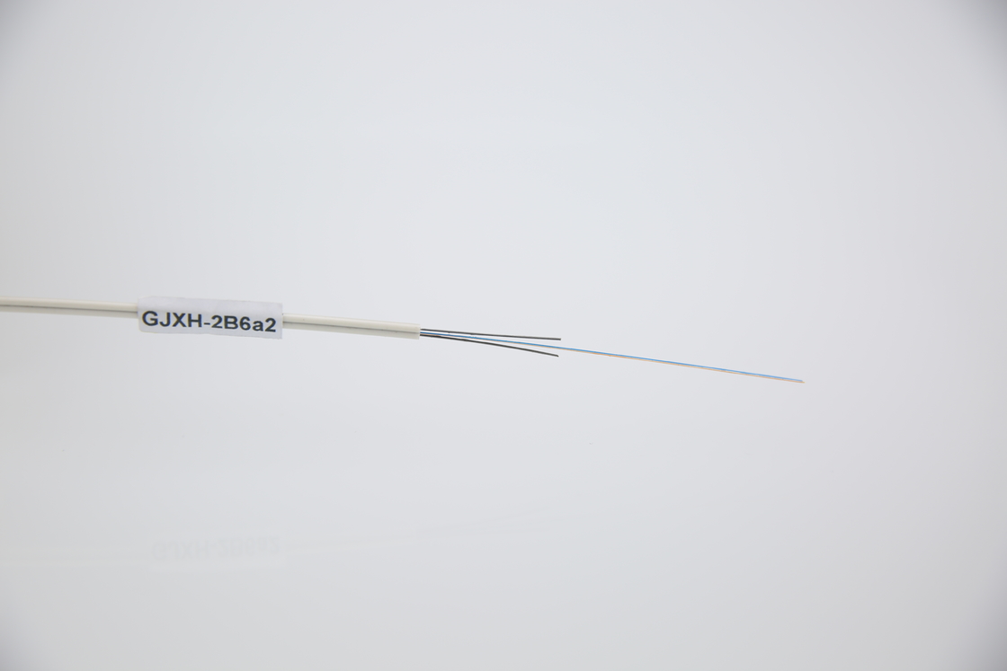 Introduzione a forma di farfalla di cavo ottico