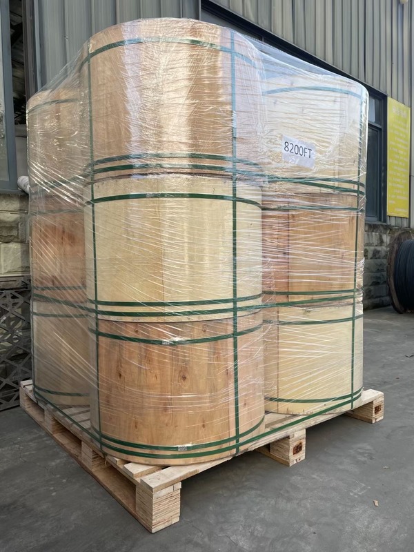 Un cavo a fibre ottiche corazzato all'aperto GYTZA dei 48 centri ignifugo