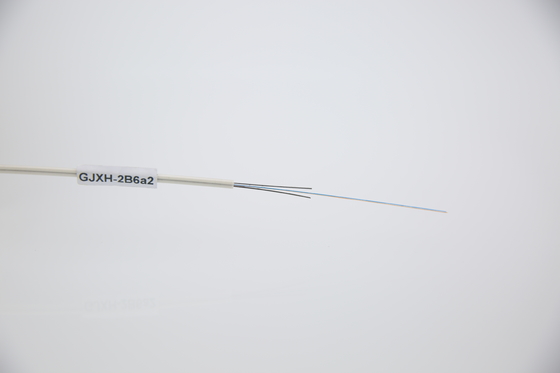 Introduzione a forma di farfalla di cavo ottico